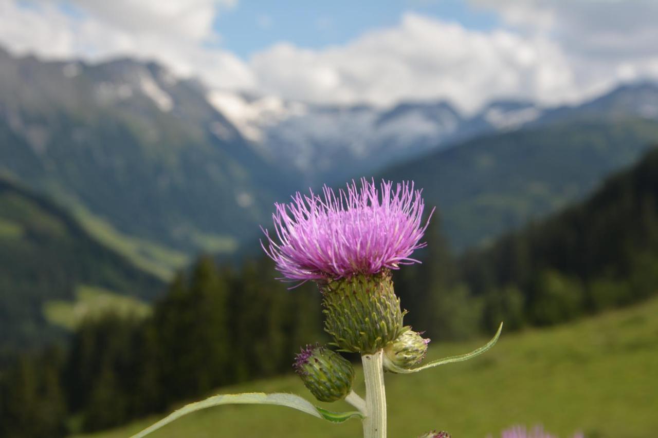 Natur Resort Rissbacher Stumm Buitenkant foto